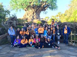 disney disney