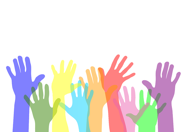 Loxley Elementary Volunteer Background Check Information