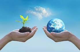 environmental image