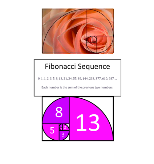 art8 