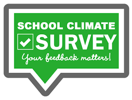 survey